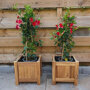 Planter hardhout vierkant (30 x 30 x 30 cm)
